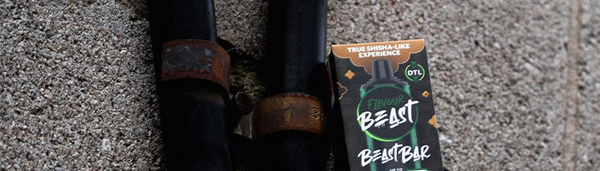 Flavour Beast Level X pods